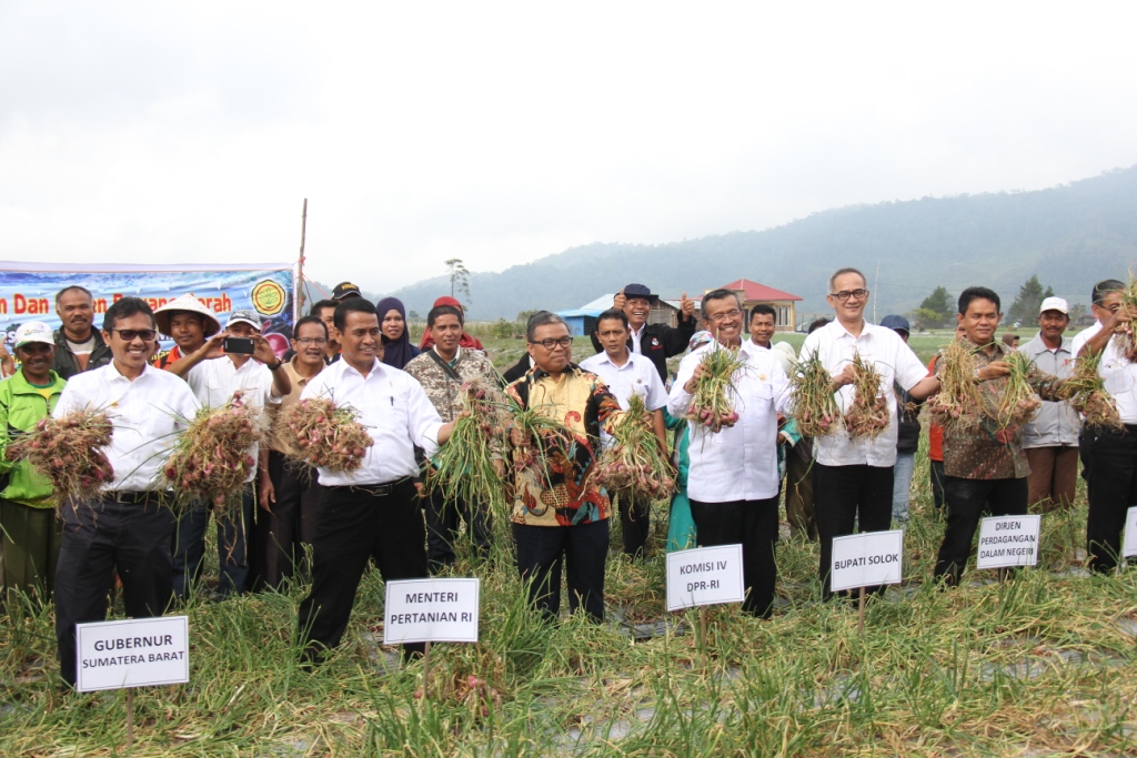 MenteriPertanian Panen Bawang Sungai Nanam
